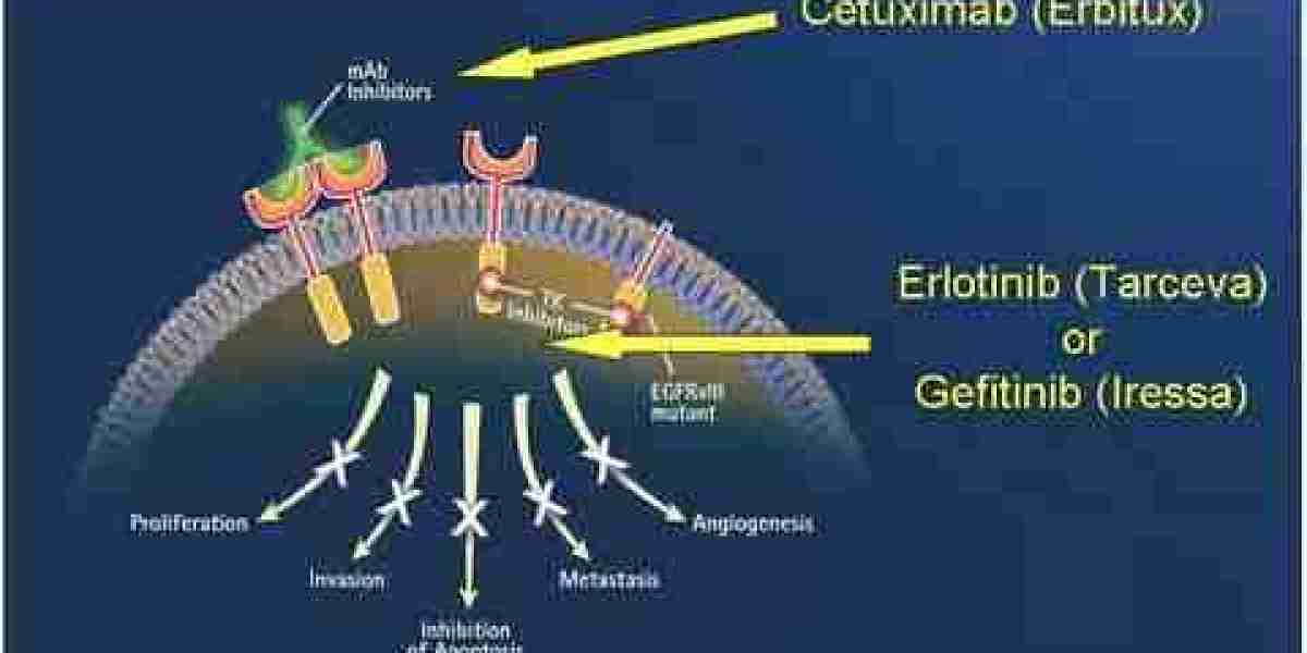 Pralsetinib Market Analysis, Growth Factors and Competitive Strategies by Forecast 2034