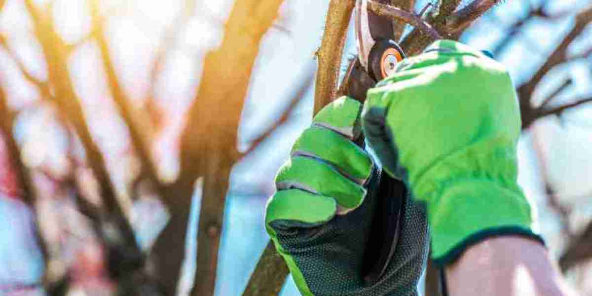 Is Your Tree a Hazard? Find Out When to Call for Tree Removal