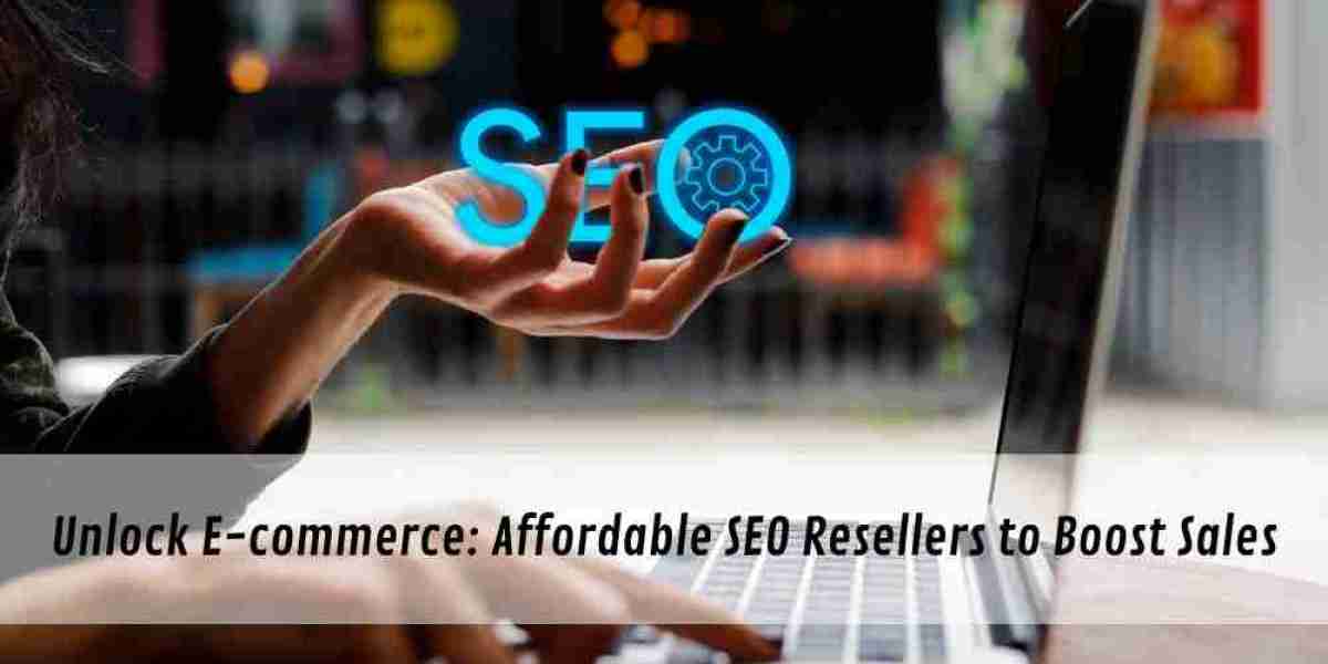 Unlock E-commerce: Affordable SEO Resellers to Boost Sales