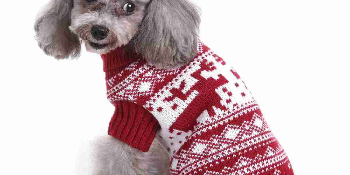 Wholesale Dog Sweaters | A Comprehensive Guide to Profit and Pooch Comfort