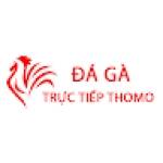 Đá Gà Trực Tiếp Thomo Hôm Nay