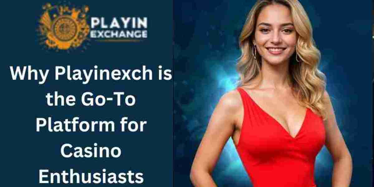 Why Playinexch is the Go-To Platform for Casino Enthusiasts