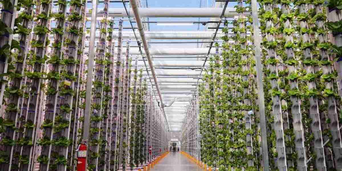 Indoor Farming Market Next Big Thing