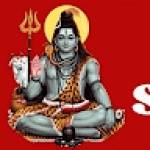 Astrologer MasterShivaMahadev