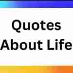 Life Quotes