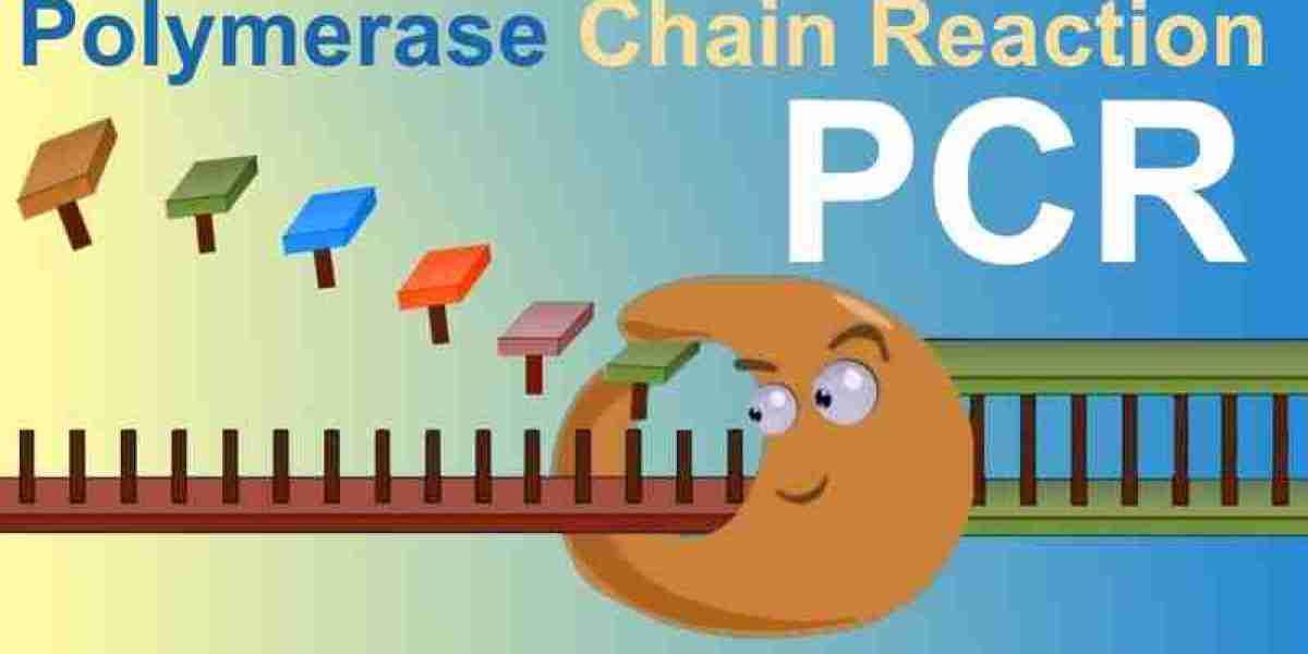 Technological Advancements Boosting PCR Technology Market Expansion