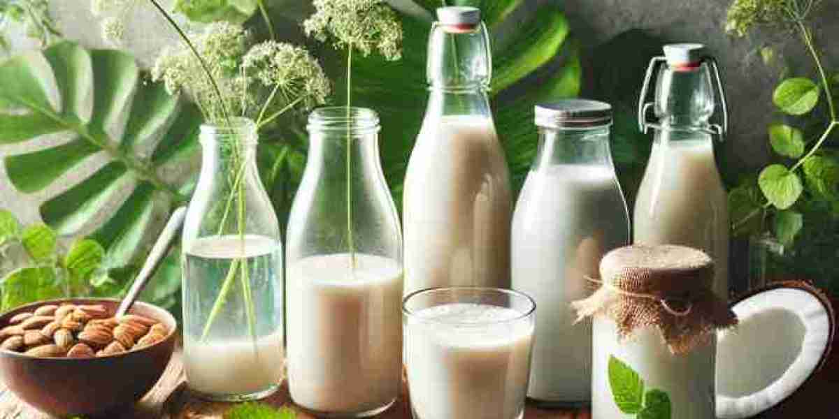 Plant Based Beverage Market Research Insights, Competitive Landscape, and Forecast of Key Industry Trends