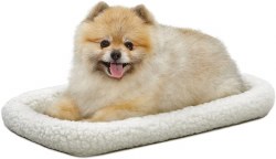 Dog Supplies Outlet | Dog Accessories Online Store | Burton, Flint, MI - Magoo's Pet Outlet