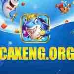 caxeng org