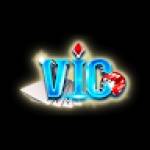 Vicwin Club