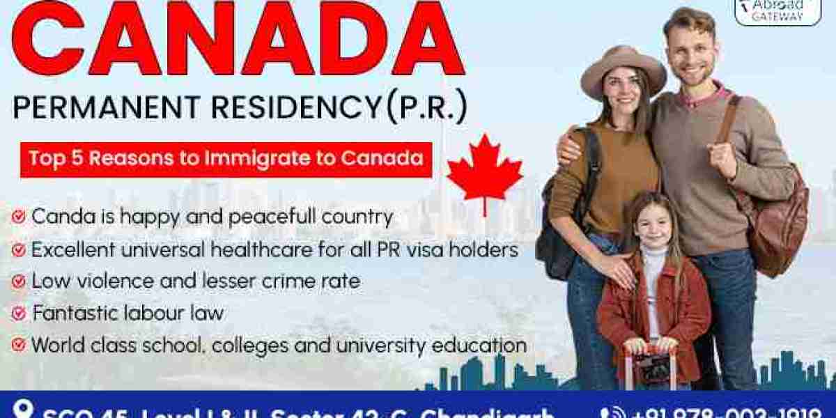 Expert Advice from Chandigarh Consultants on Canada Study Visa Applications