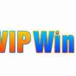 Vipwin Host