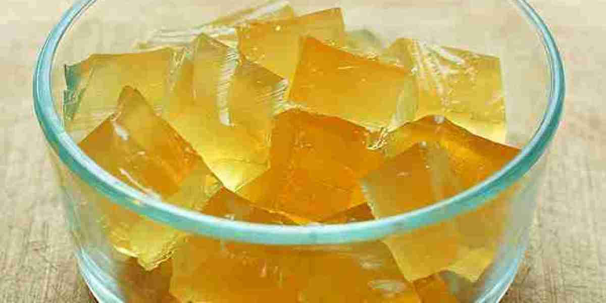 Gelatin Market Overview, Growth, Trends Analysis, Forecast 2025-2033