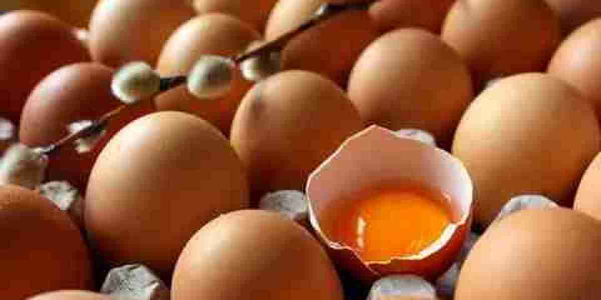 From North America to Asia-Pacific: Regional Trends in Egg Replacers Market