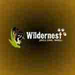 Wildernest Dandeli