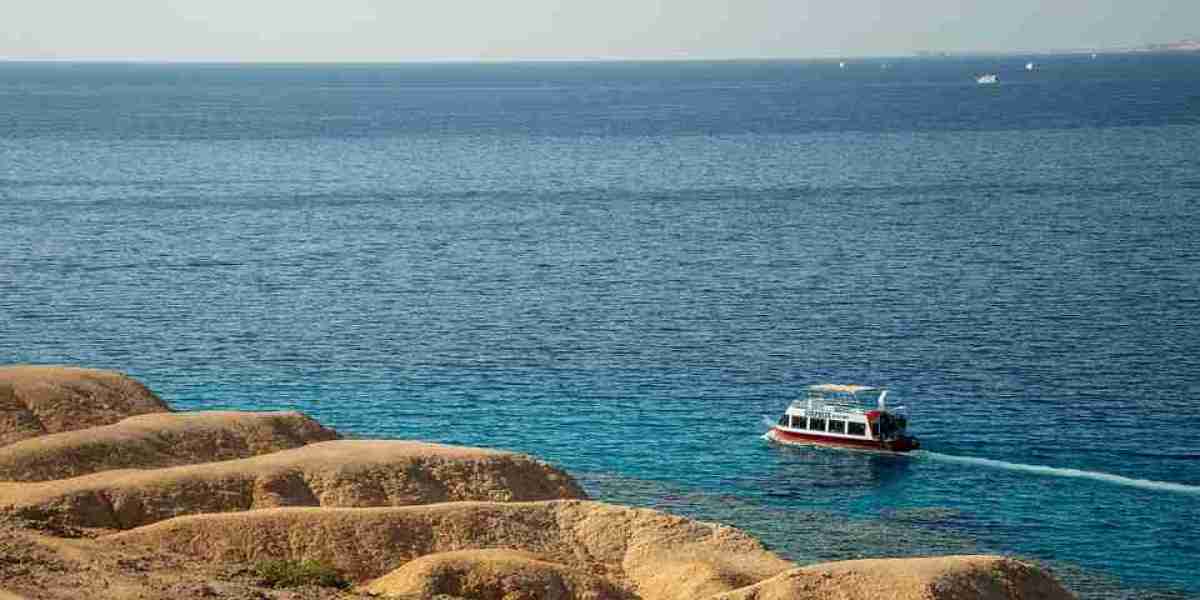 Explore the Magic of the Red Sea and Sinai