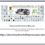 Downloadworkshop Manuals