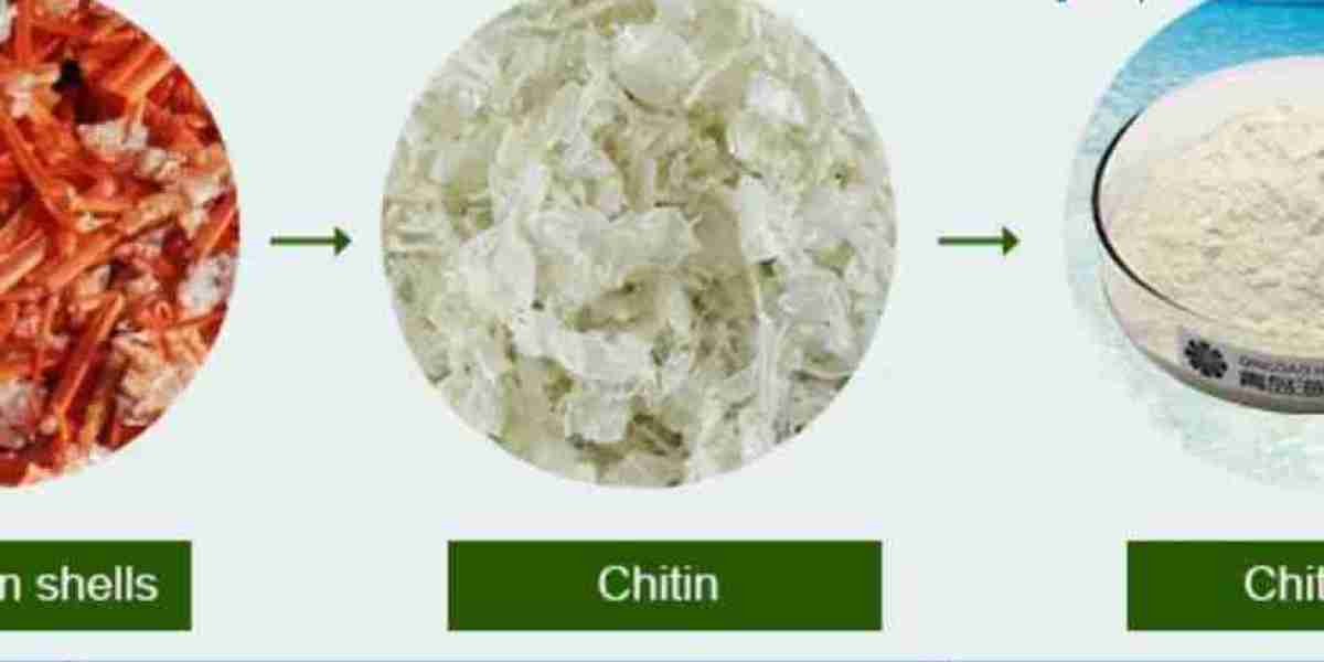 North America Chitosan Market Size, Share, Trends & Growth | 2032