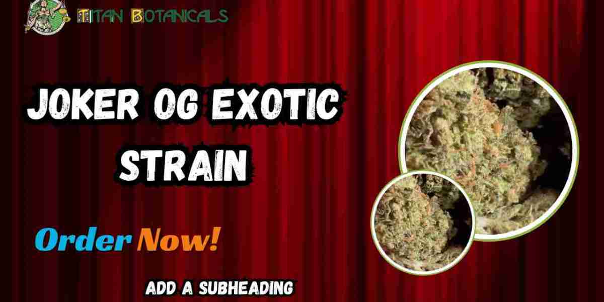 A Comprehensive Guide for Joker OG Exotic Strain with Titan Botanicals