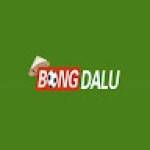 Bongdalu4 pro