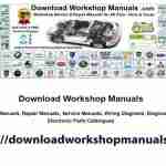 downloadworkshop manual