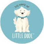 World of Little Dude