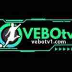 Vebo Tv