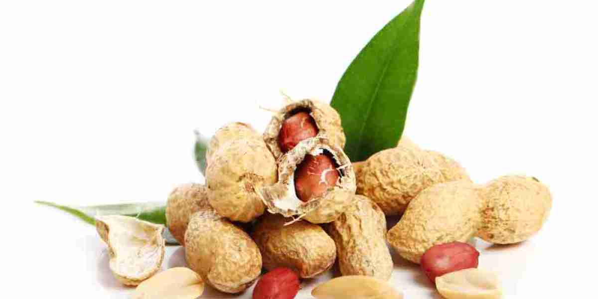 How Is the Edible Peanut Powder Market Evolving Globally?