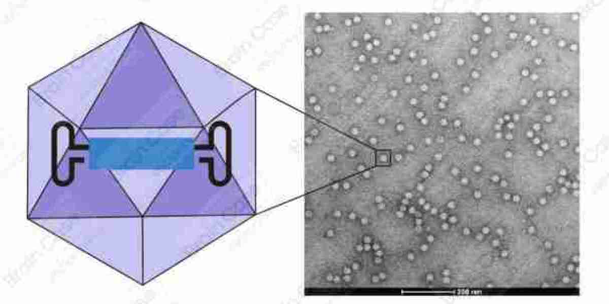 Custom AAV: Advancing Gene Therapy with Precision