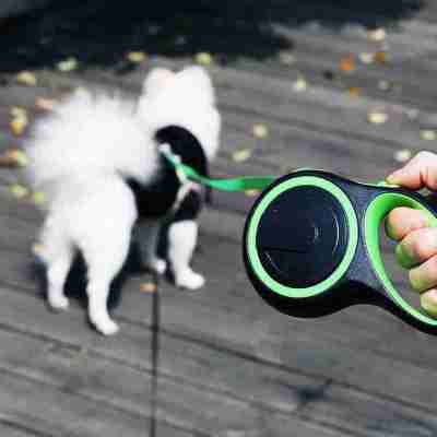 Automatic Retractable Dog Leash | Smart Design, Chew-Resistant, Heavy Duty Retractable Dog Leash UK Profile Picture