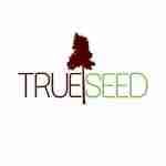 TrueSeed Investment Consultants