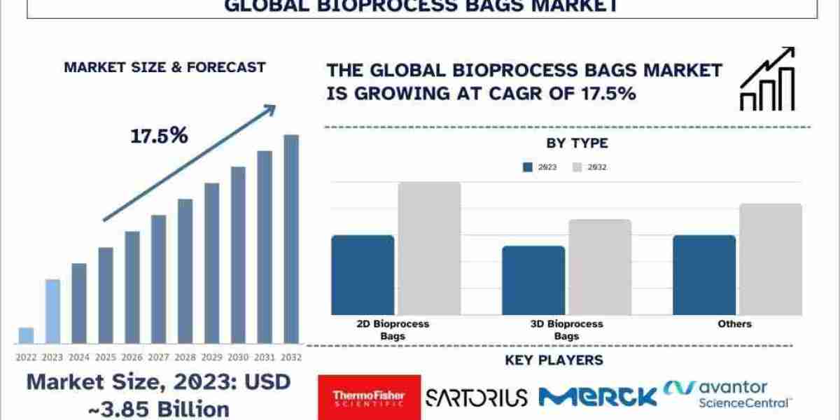 Bioprocess Bags Market Analysis by Size, Share, Growth, Trends and Forecast (2024–2032) | UnivDatos