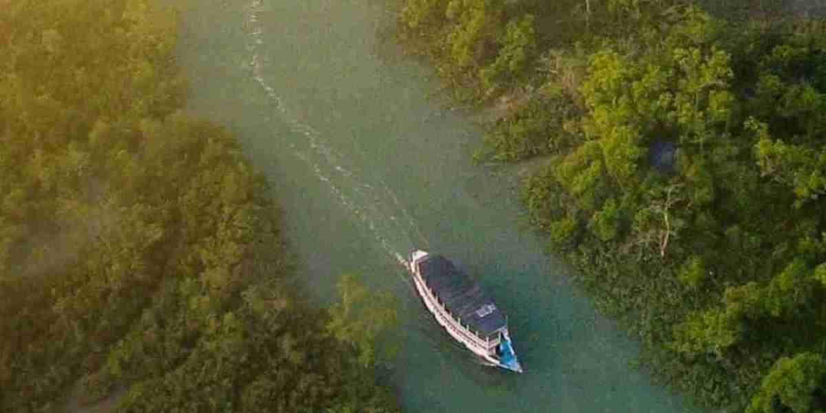 Explore the Best Sundarban Tour Package with Sundarban Wildlife Tourism