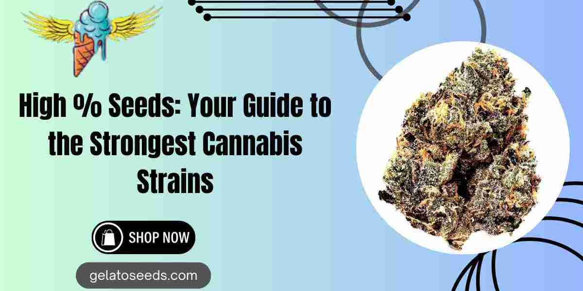 High % Seeds: Your Guide to the Strongest Cannabis Strains