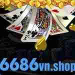 6686vn shop