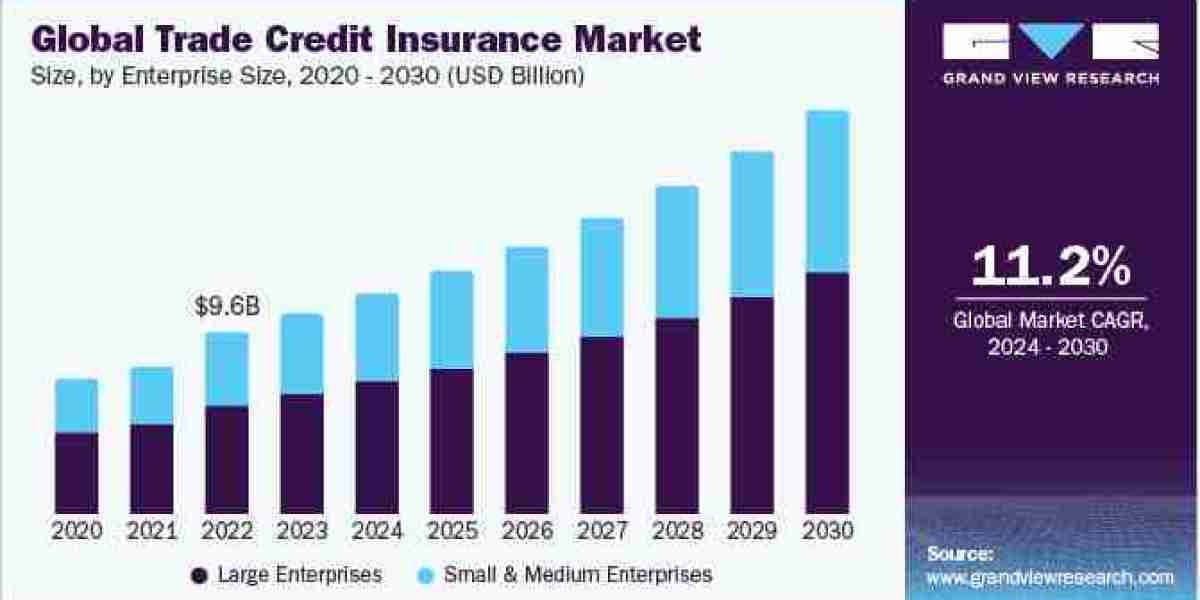 Trade Credit Insurance Market 2030: How Insurers Are Adapting to Changing Needs