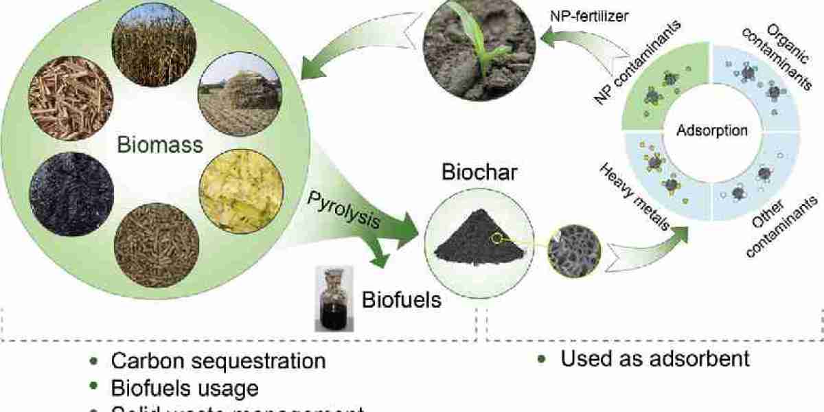 Biochar Market Key Players and Global Industry Demand by 2034