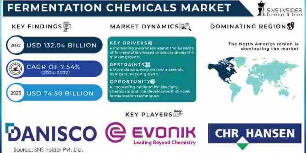 Fermentation Chemicals Market Insights: Opportunities and Challenges