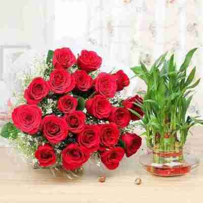 Charming Lucky Love YuvaFlowersProduct Contains : 20 Red Roses Bouquet and 3 Layer Bamboo Plant.  Th Profile Picture