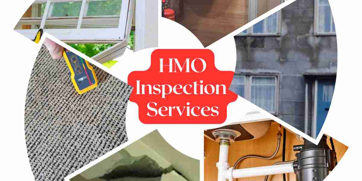 HMO Horizon – Expert Damp and Mould Compliance Services