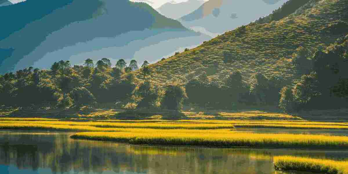 Things to do in Thimphu