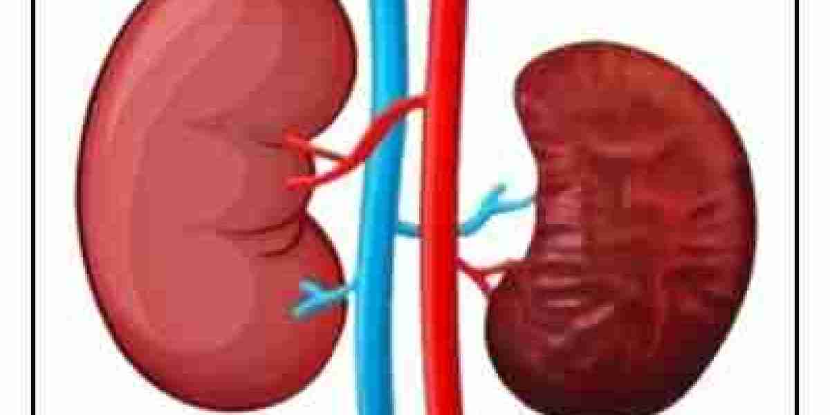 Ayurvedic Treatment For Kidney Shrinkage Disease, Symptoms, Causes- Aksaayurveda