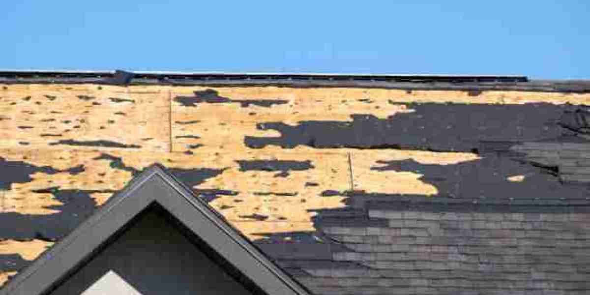 How to Identify Common Signs of Hail Damage