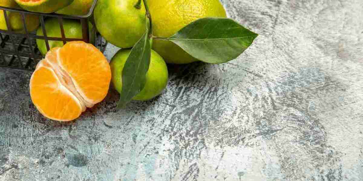 Citrus Fiber Market Trends, Innovations, and Opportunities