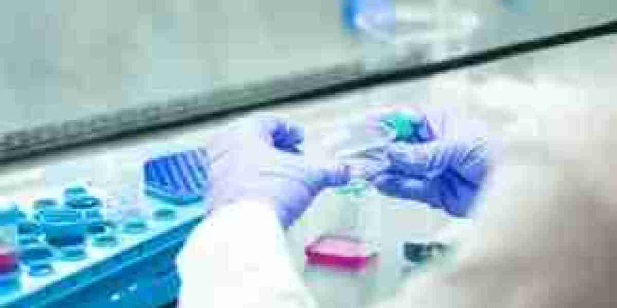 Biological Safety Testing Market Strategies, Trends and Growth Analysis Report [2031]