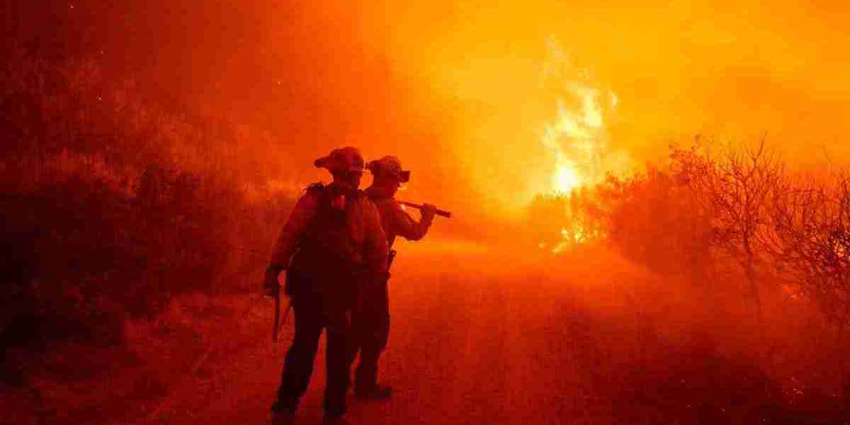 Wildfire Recovery: California Commissioner Urges Caution to Avoid Fraud