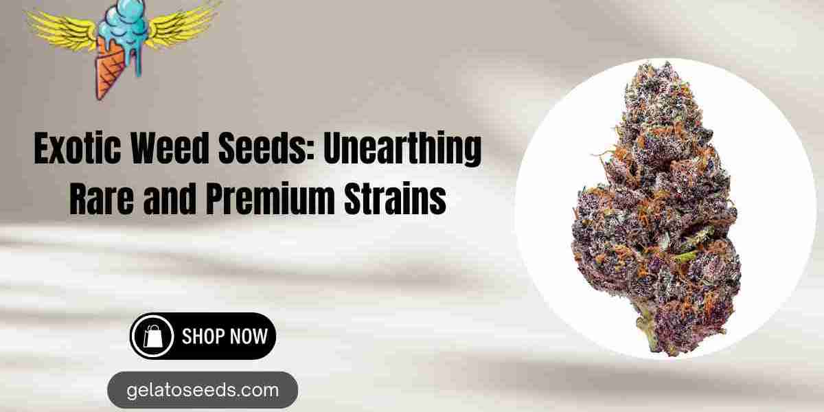 Exotic Weed Seeds: Unearthing Rare and Premium Strains