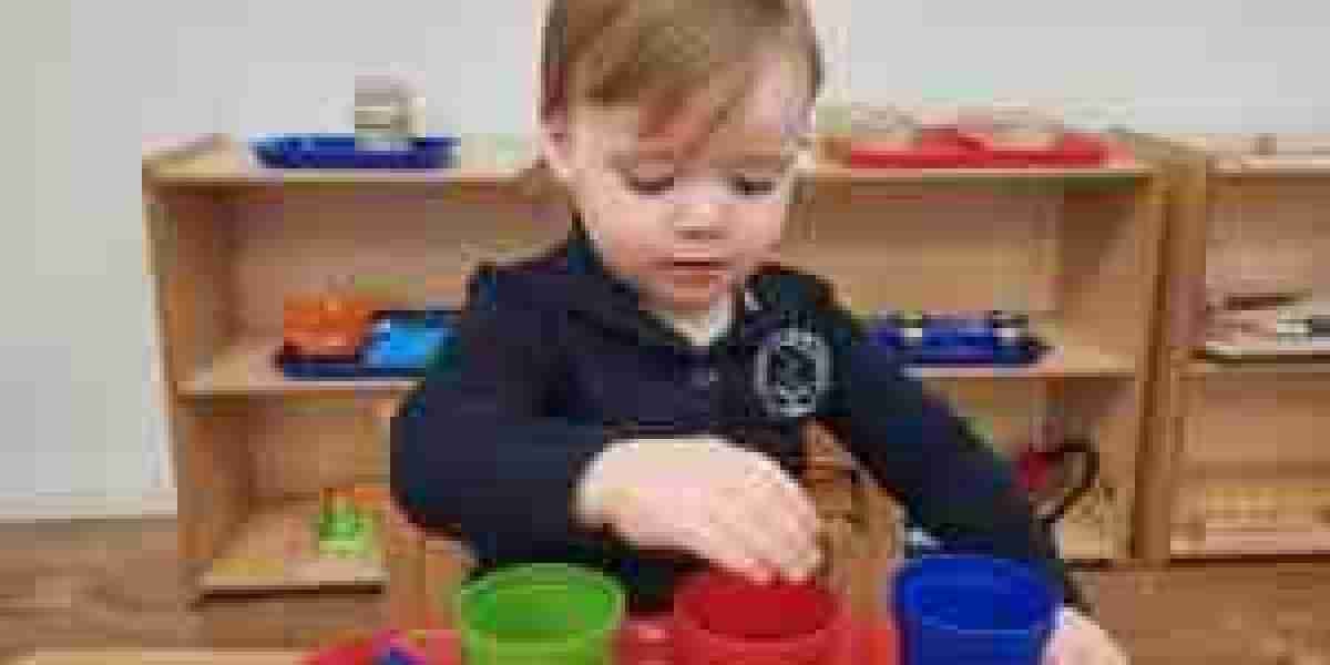 Nurturing Growth: Inside the Montessori Toddler Classroom