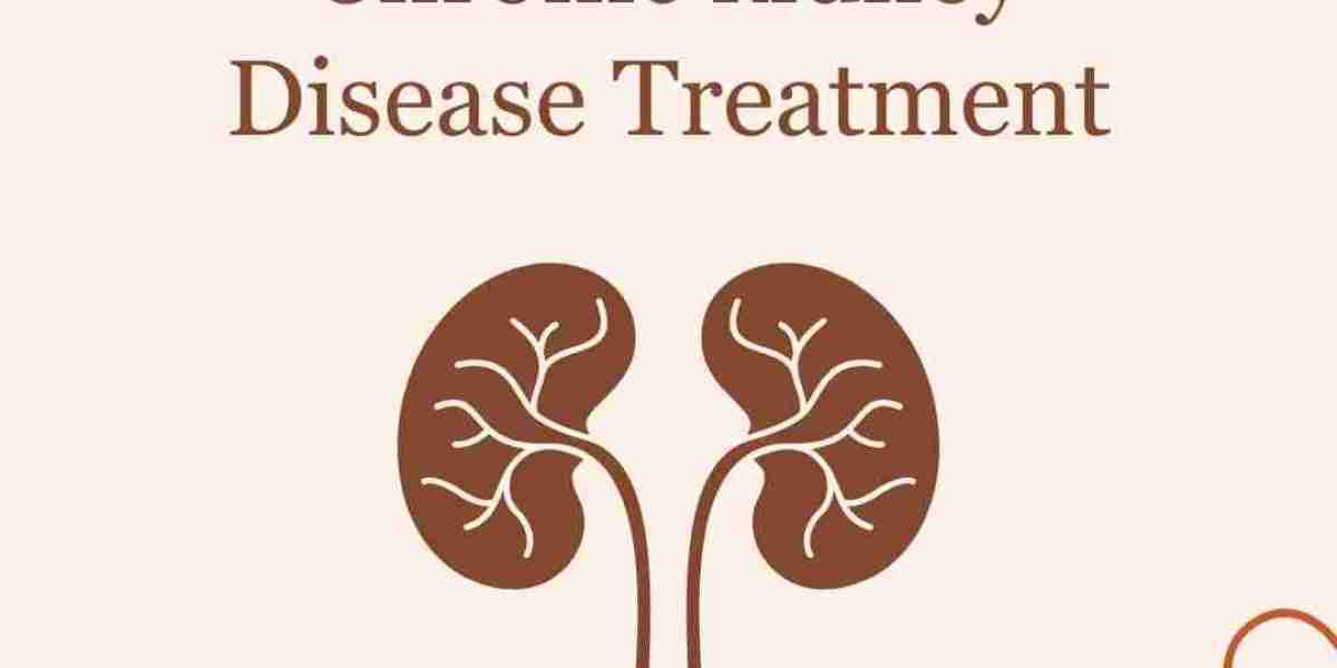 Lowering Creatinine Levels Naturally: Homeopathy for Kidney Health and Function