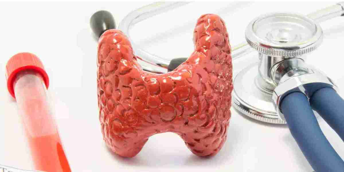 Thyroid Function Test Market: Future Directions in Research and Development in Diagnostic Testing